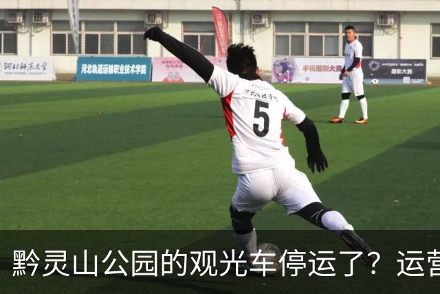 黔灵山公园的观光车停运了？运营公司回应