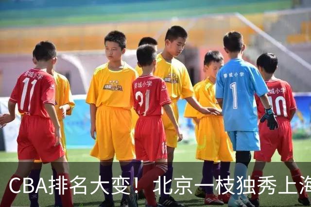 CBA排名大变！北京一枝独秀上海第3，辽宁第4广东第15，新疆连败宁波一胜难求